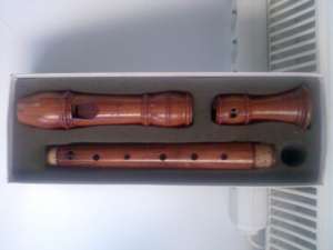blockflute alto profesional MOLLENHAUER