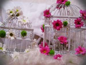 DECORATIUNI SPECIALE