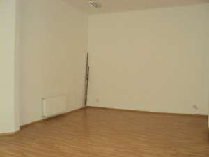 Zona Unirii - Udriste,   vila de inchiriat,   P+M,   suprafata 400mp,   7 camere