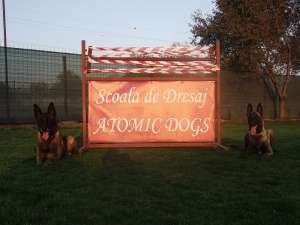 Scoala  de dresaj Canin Atomic Dogs RM.VALCEA