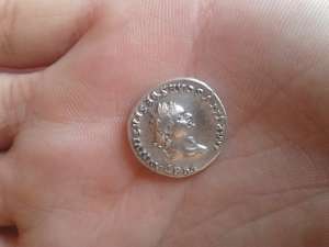 Denar DOMITIAN (sub Titus)