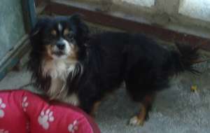 Ricky are nevoie de "parinti"!