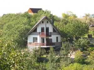 vand casa de vacanta mal lac calinesti oas