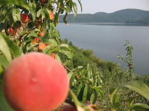 vand casa de vacanta mal lac calinesti oas