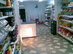 Vand casa P+1 cu 2 magazine
