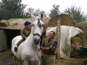Cal de vanzare