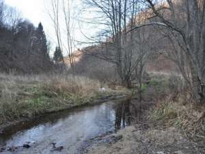 TEREN POIANA MARULUI,      BRASOV