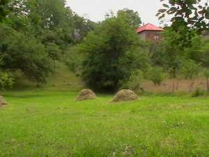 vand teren la munte