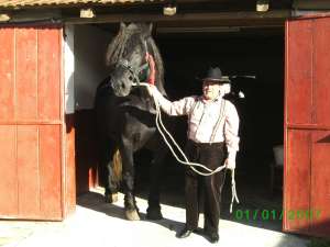 Horse Farm Cai Arad