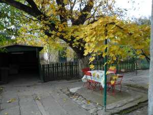 vila cu teren in timisoara
