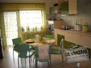inchiriere casa  p+1 ,  vladesti-valcea