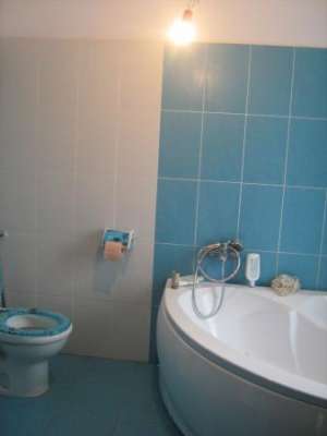 Vila la cheie Domnesti Pod
