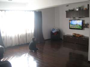 Vila Putul Olteni