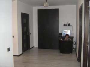 Vila Putul Olteni