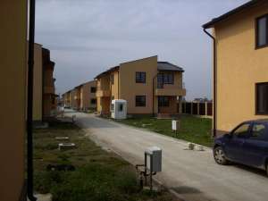 Vile Domnesti Ciutaci