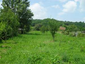 vand 2522 mp in Zgripcesti,   com Beleti-Negresti,   AG