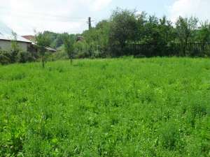 vand 2522 mp in Zgripcesti,   com Beleti-Negresti,   AG