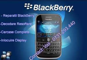 DISPLAY BlackBerry 9700 Service BlackBerry Pearl 9105 Bold 9700 3g Service BlackBerry Bucurest