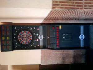 vand dart profesionall