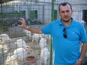 microferma constanta