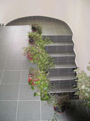 Vanzare apartament cu 3 camere in Cluj Napoca