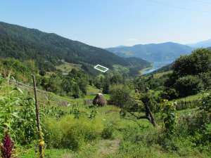 Teren Zona Montana