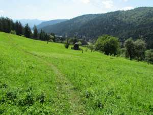 Super Teren Zona Montana
