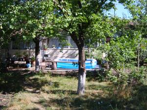 Vand casa cu Teren 5000 mp. si Elesteu in Greaca -Giurgiu
