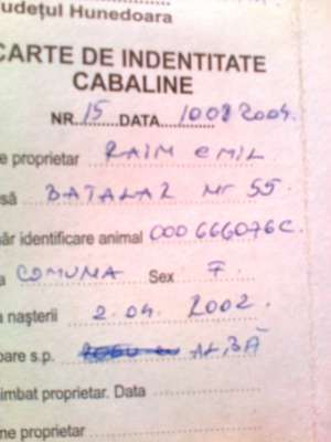 VIND IAPA