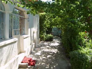 Vand casa cu Teren 5000 mp. si Elesteu in Greaca -Giurgiu