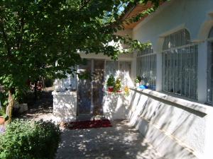 Vand casa cu Teren 5000 mp. si Elesteu in Greaca -Giurgiu