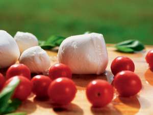 Branza mozzarella din lapte de bivolita