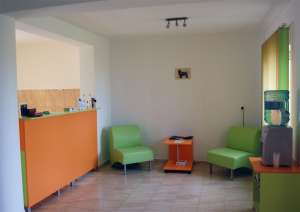 Salon Clabucel - Infrumusetare canina Oradea - Frizerie canina Oradea - Coafura canina Oradea - Cosm