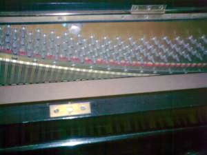 VAND PIANINA CARL QUANDT