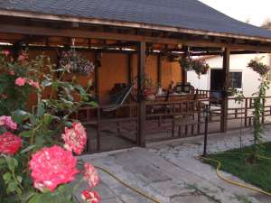 SHIMB SAU AND VILA IN BUZAU