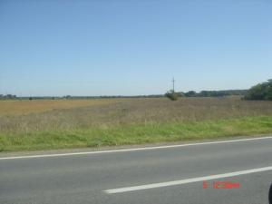 TEREN COMPACT 60000 MP la Soseaua Cazasu Pretabil AGRO-PROIECTE