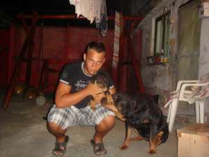 Vand Rottweiler pui de 4 luni toate vaccinele luate sau dau la schimb cu alt caine preferabil doberm