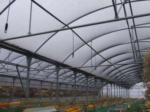 VAND SERA DE 800m2