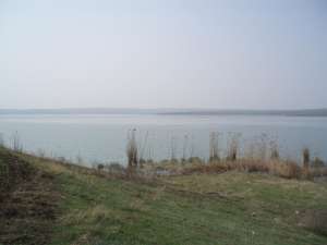 teren lacul tasaul