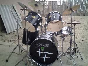 stagg tim
