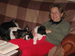 Cateluse Border Collie