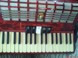 vand acorden parrot 48