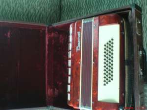 vand acorden parrot 48