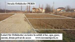 Loturi teren asfalt,  lac Peris,  Str Orhideelor