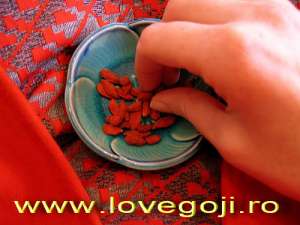 Goji superfructul din Tibet