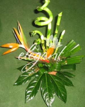 COROANE,  ARANJAMENTE FLORALE