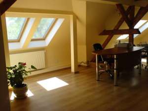 Inchiriere vila in zona Unirii,  dispusa pe D+P+M,  suprafata 300 mp