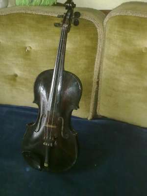 vioara made in austria
