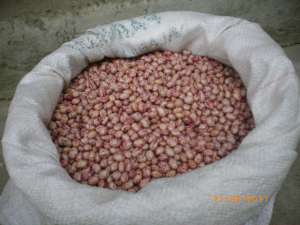 sant producator agricol de fasole uscata,  aleasa ,  curata ,  categorii