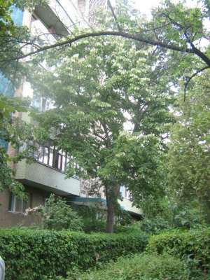 vanzare apartament Ploiesti Nord